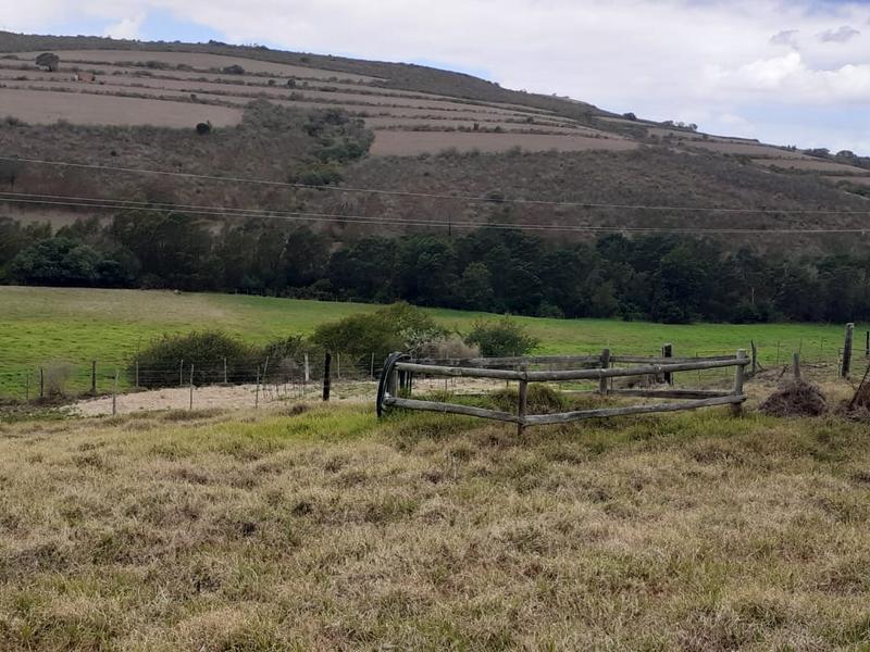 0 Bedroom Property for Sale in Albertinia Western Cape